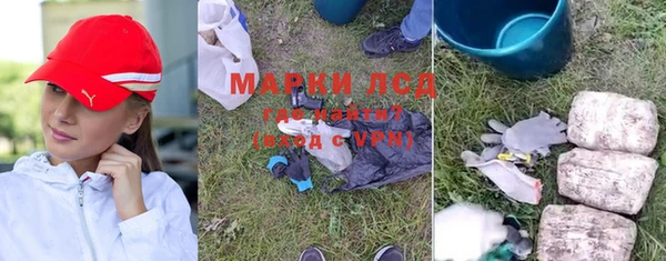 ГАЛЛЮЦИНОГЕННЫЕ ГРИБЫ Краснотурьинск