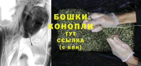 ГАЛЛЮЦИНОГЕННЫЕ ГРИБЫ Краснотурьинск